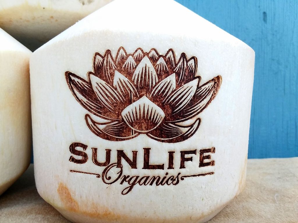 Corporate Branding - Sun Life